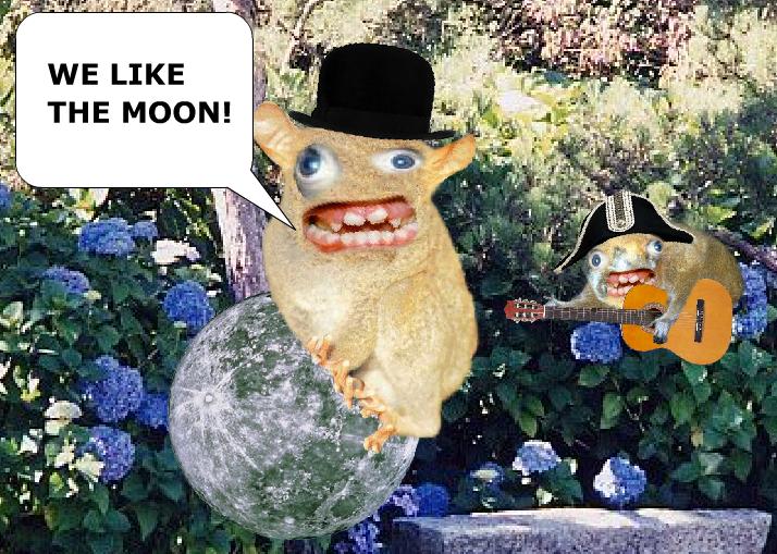 We like the moon